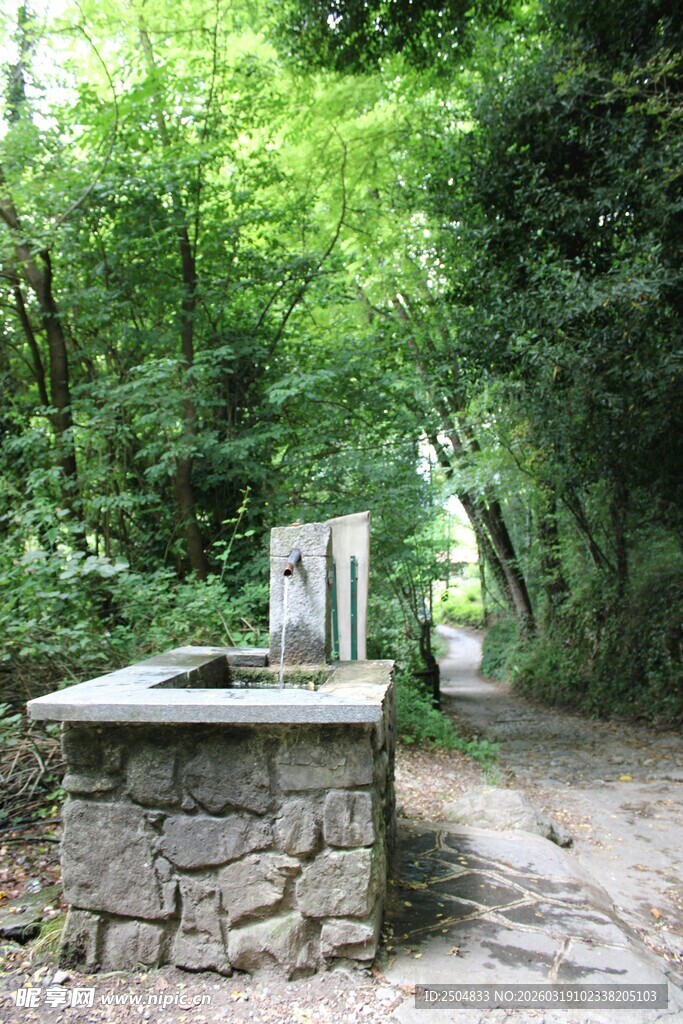 林间石砌水槽 自然景致