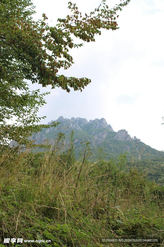 山间绿野 远望葱茏山峦