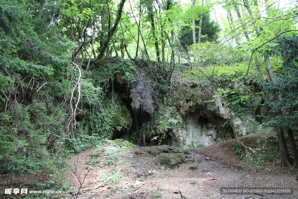 山林间的幽静小径