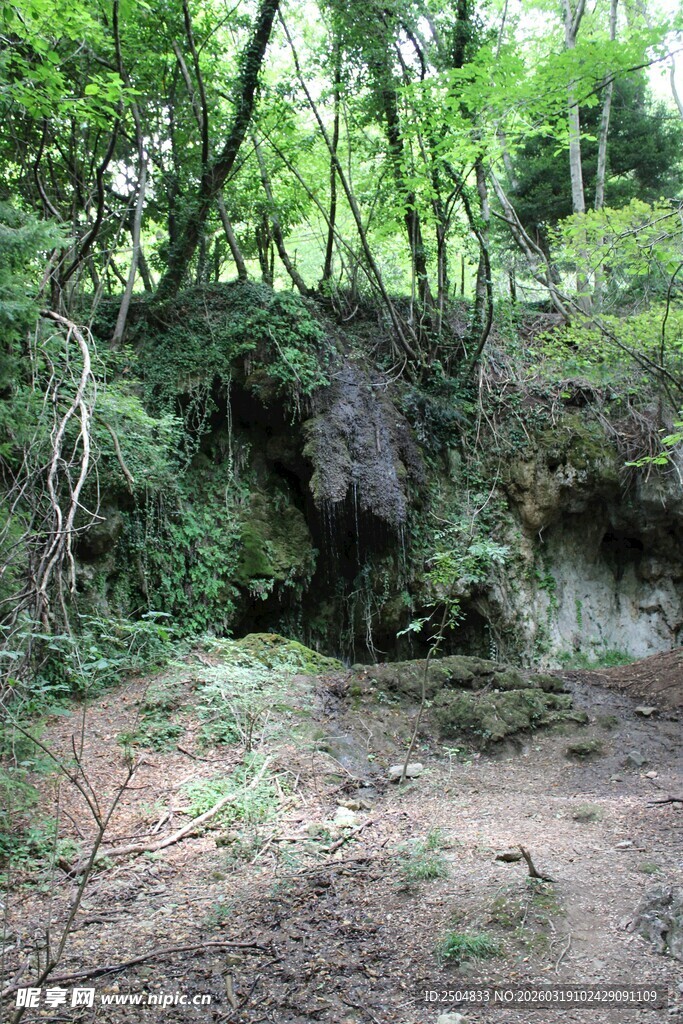森林中的隐秘泥土地带