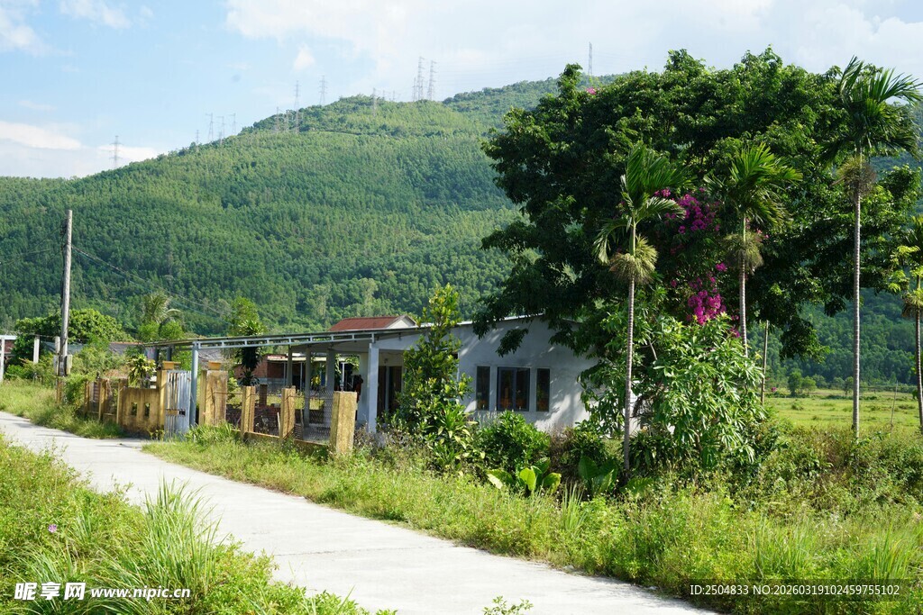 乡村小道旁的田园风光
