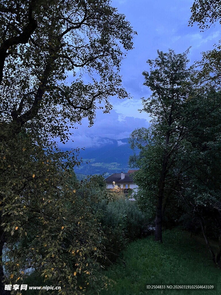 林间远望的美丽自然景致