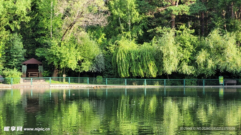 宁静湖畔绿意盎然的美景