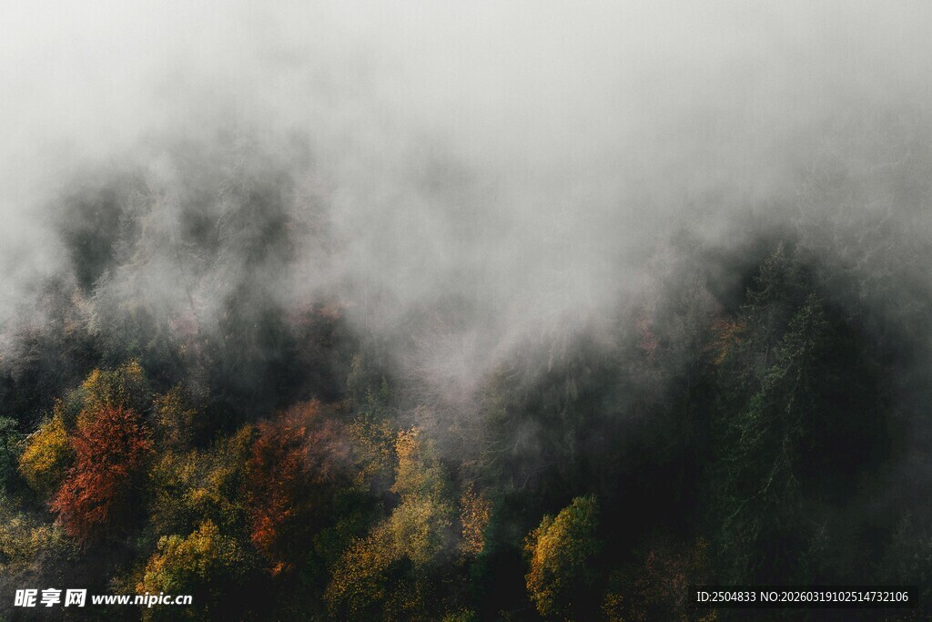 云雾缭绕中的多彩山林