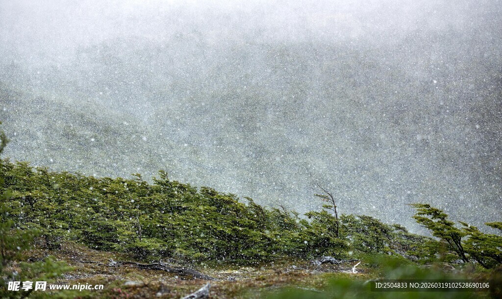 山间云雾缭绕的绿意景致