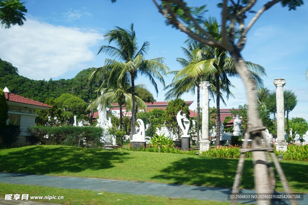 热带风光中的绿荫场景