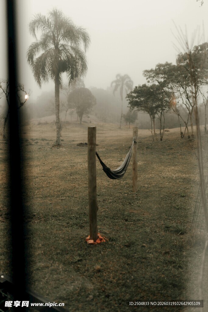 雾中户外吊床与树木景观