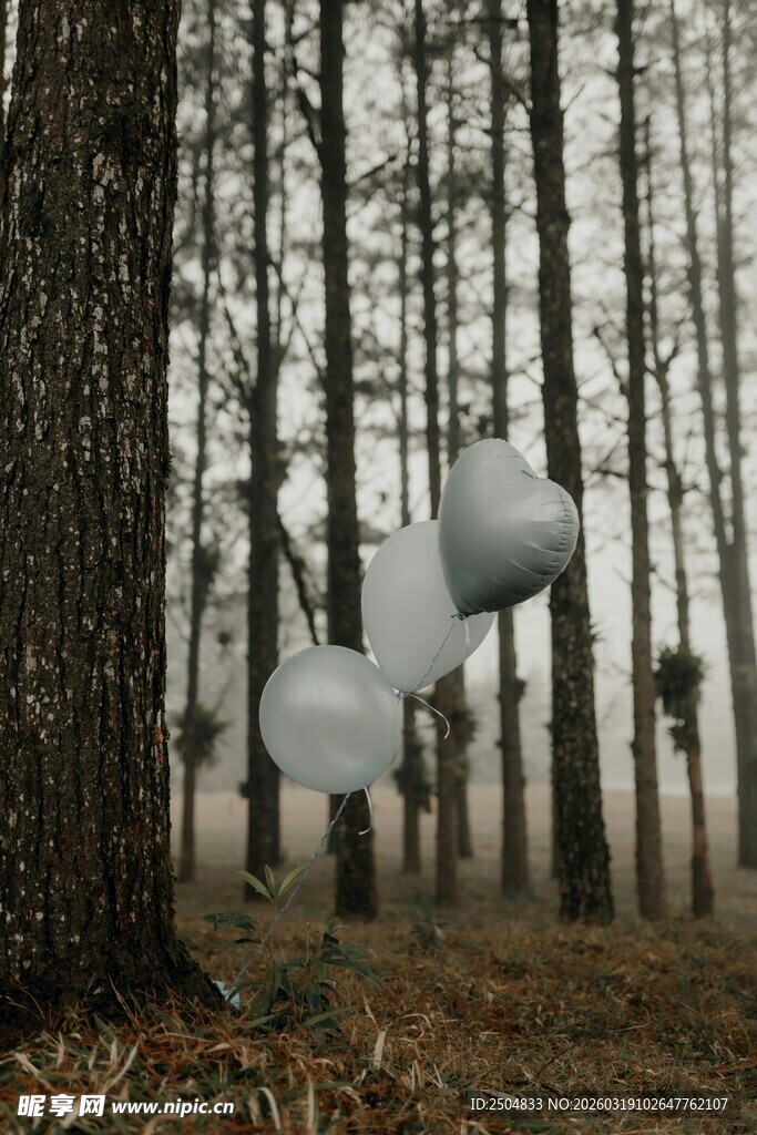 林间飘浮的梦幻白色气球