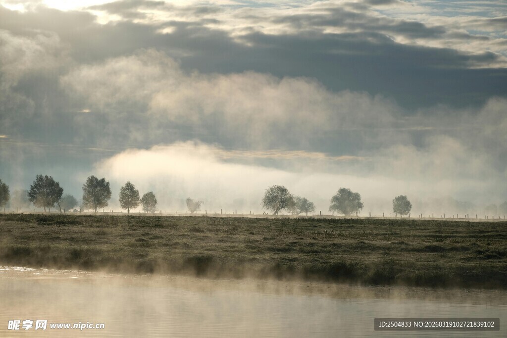 湖畔晨雾中的树木景致