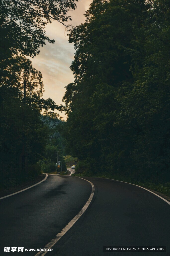黄昏时分的林间蜿蜒公路