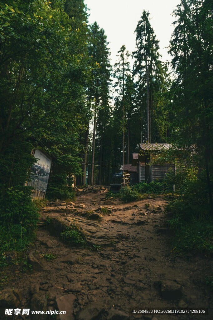 林间木屋旁的泥泞小路