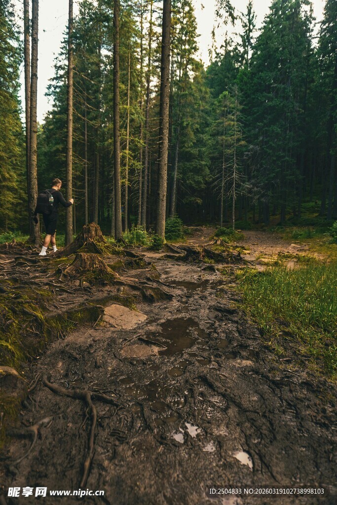 森林中泥泞的徒步小径