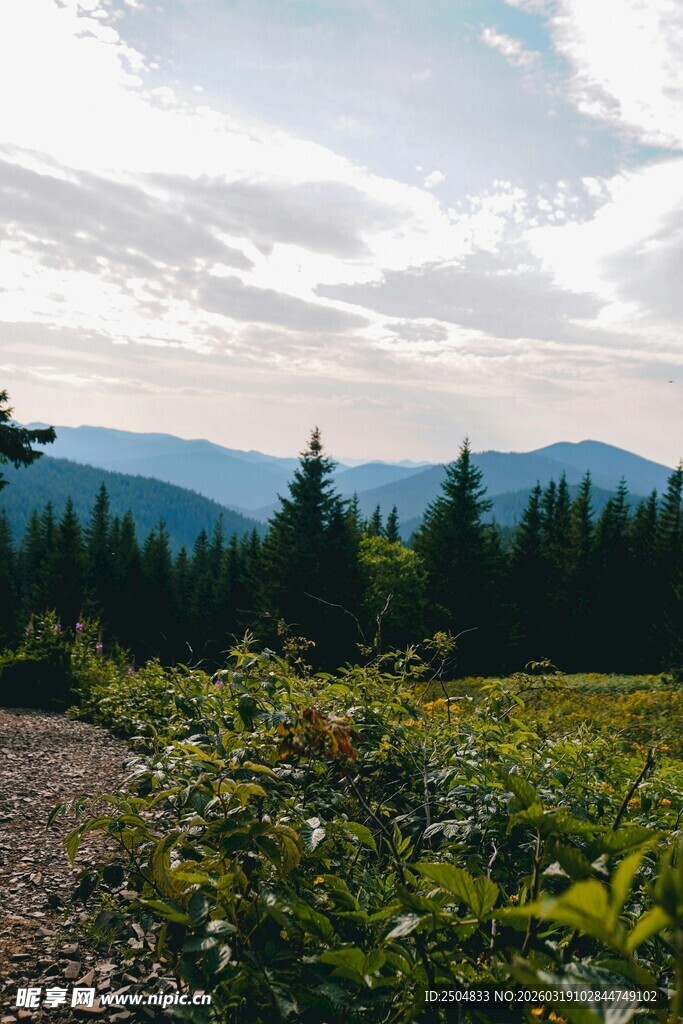 山间绿野 自然景致如画