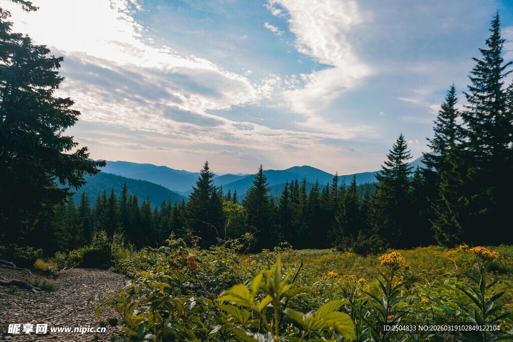 山间小径旁的秀丽自然风景