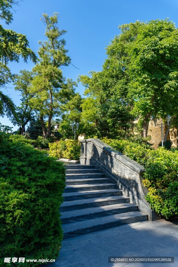 林间石阶桥 绿意盎然处