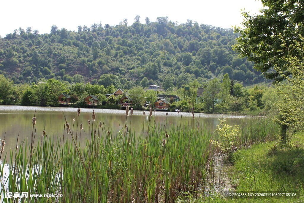 湖畔葱郁草木 宁静风光