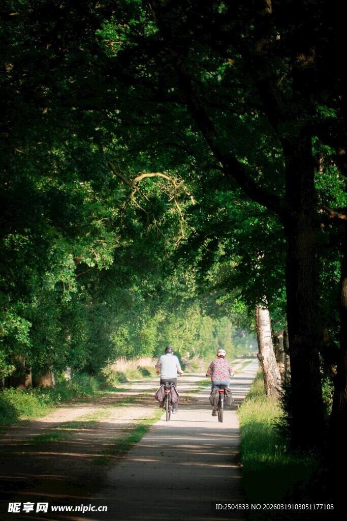 林间小道上的骑行与漫步