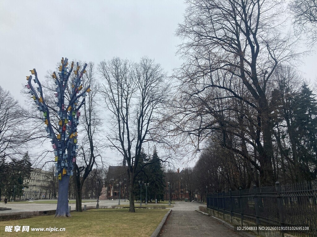 冬日林间小道景象