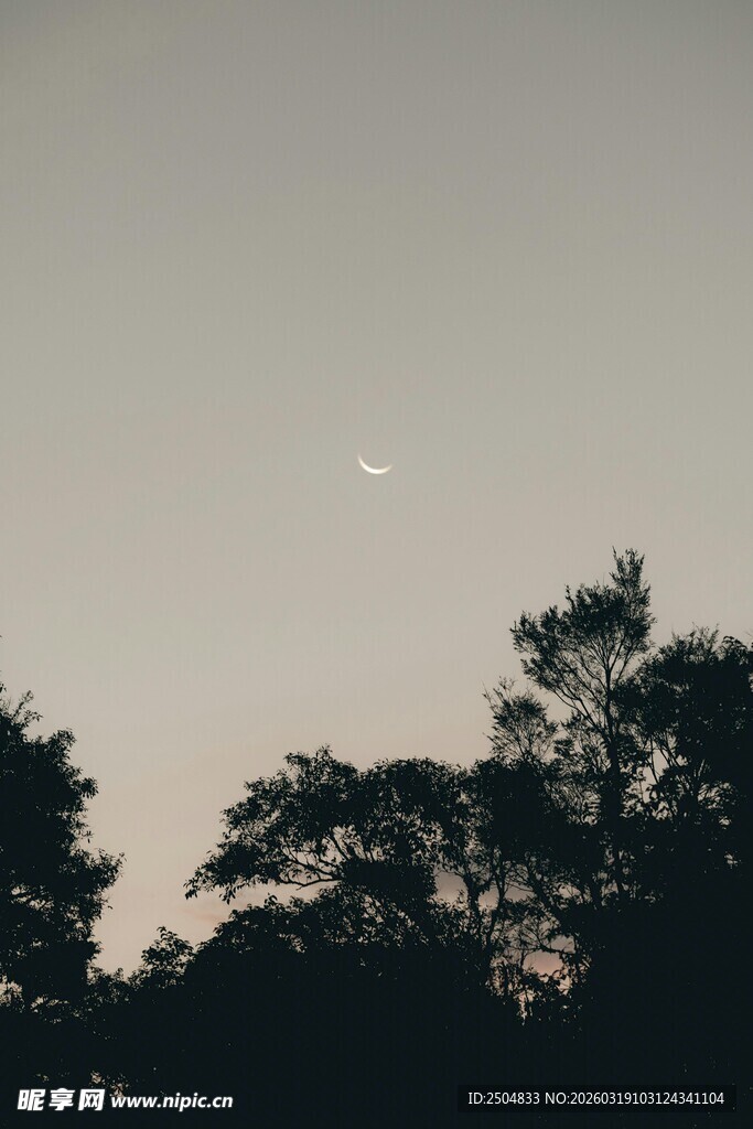 夜幕下树梢与天际的微光