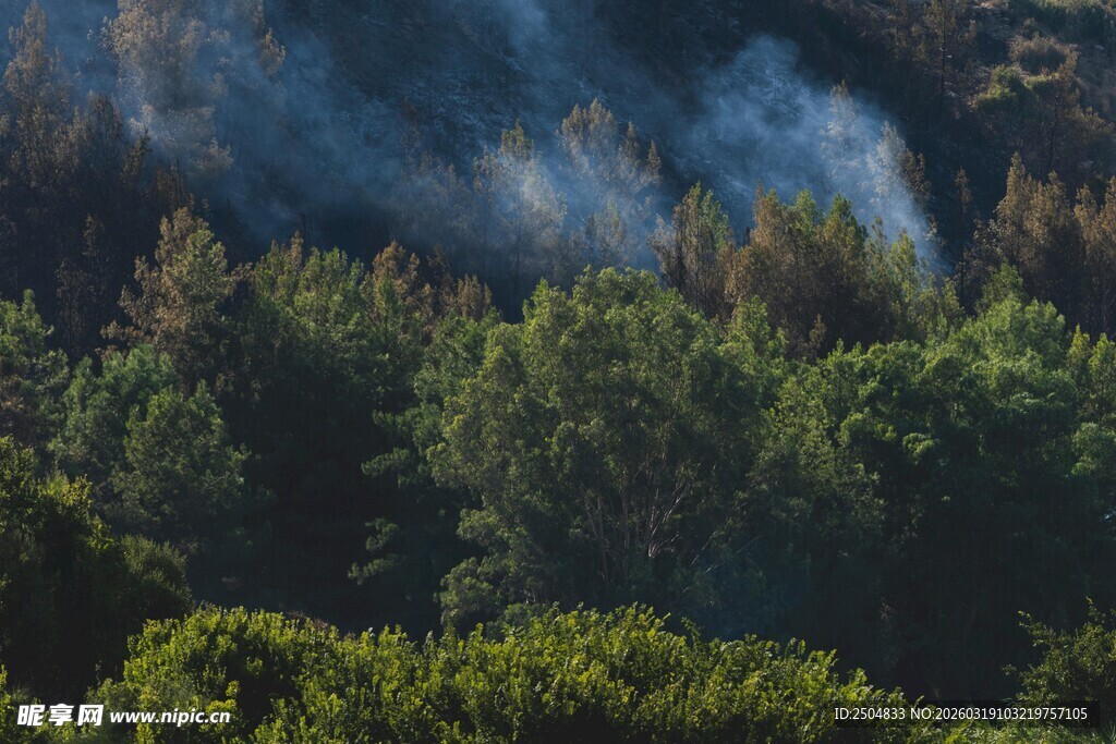 山林间轻烟袅袅的美景