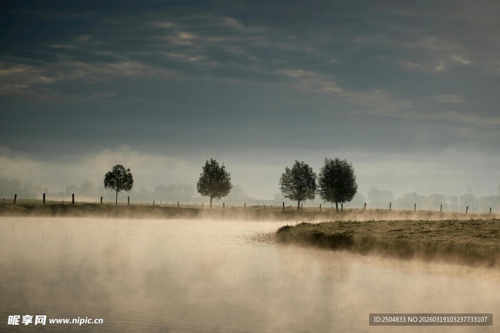 晨雾中的静谧湖畔树木