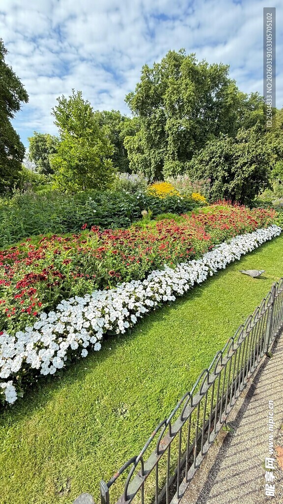 花园小径旁的缤纷花卉