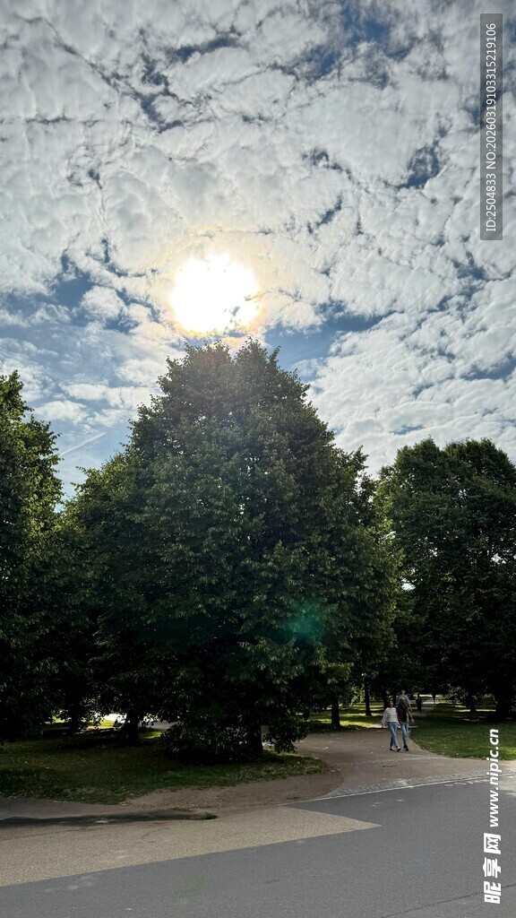 阳光穿透云层洒向树木