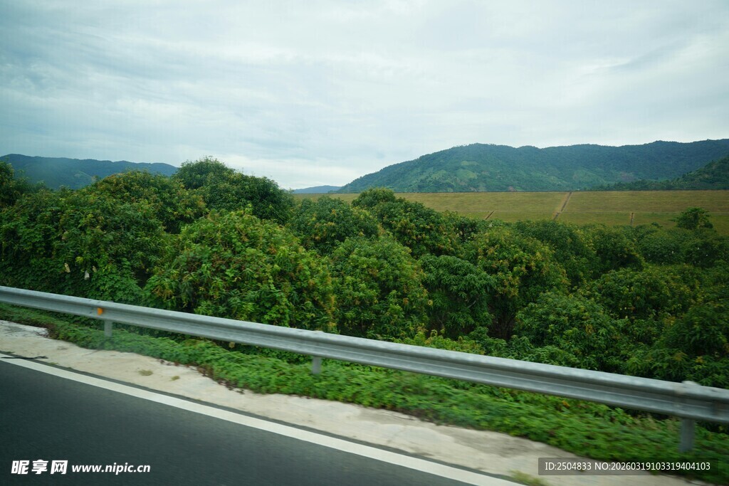 公路旁绿意盎然的自然风光