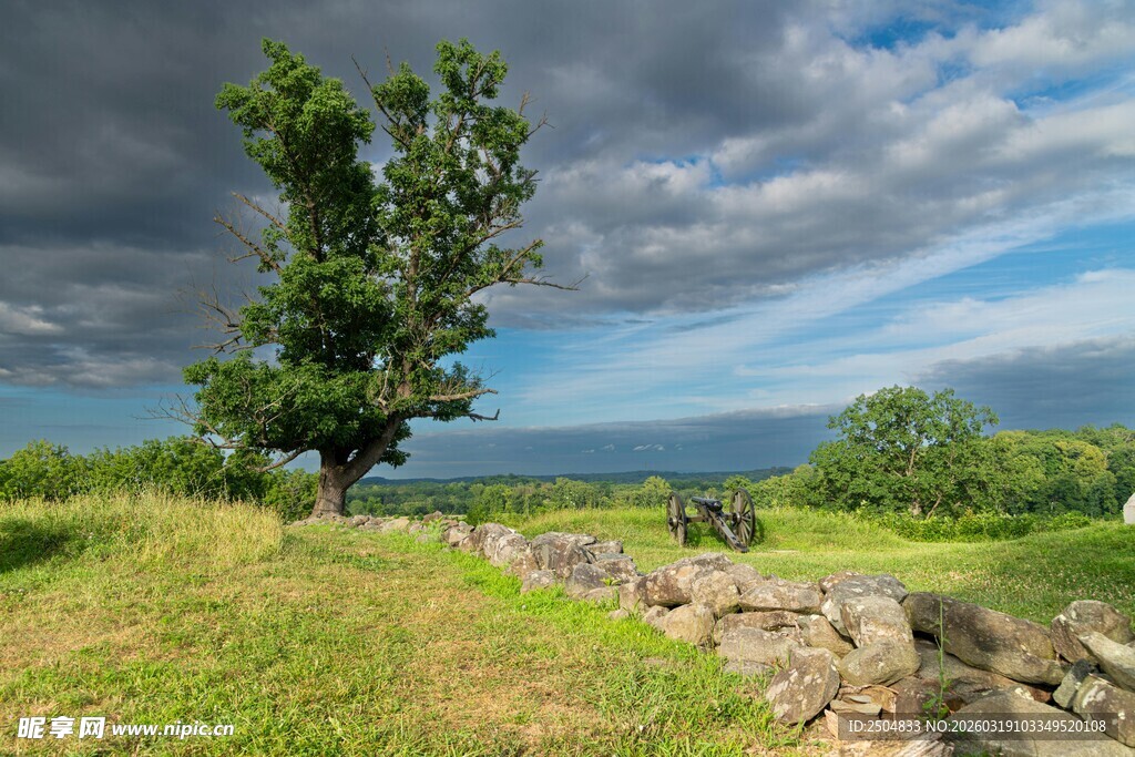 原野孤树与石墙风景