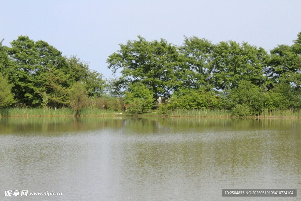 宁静湖畔绿树成荫