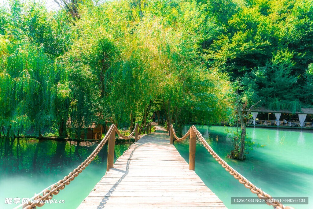 湖畔木桥 绿意盎然之景