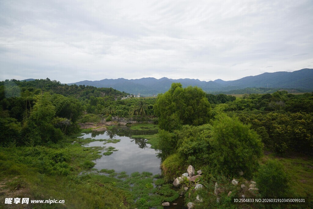 山间河流旁的葱郁景致