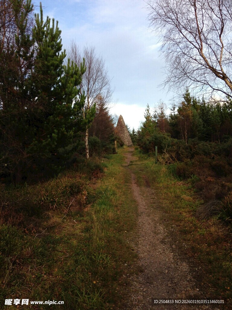 林间小径 静谧自然之景