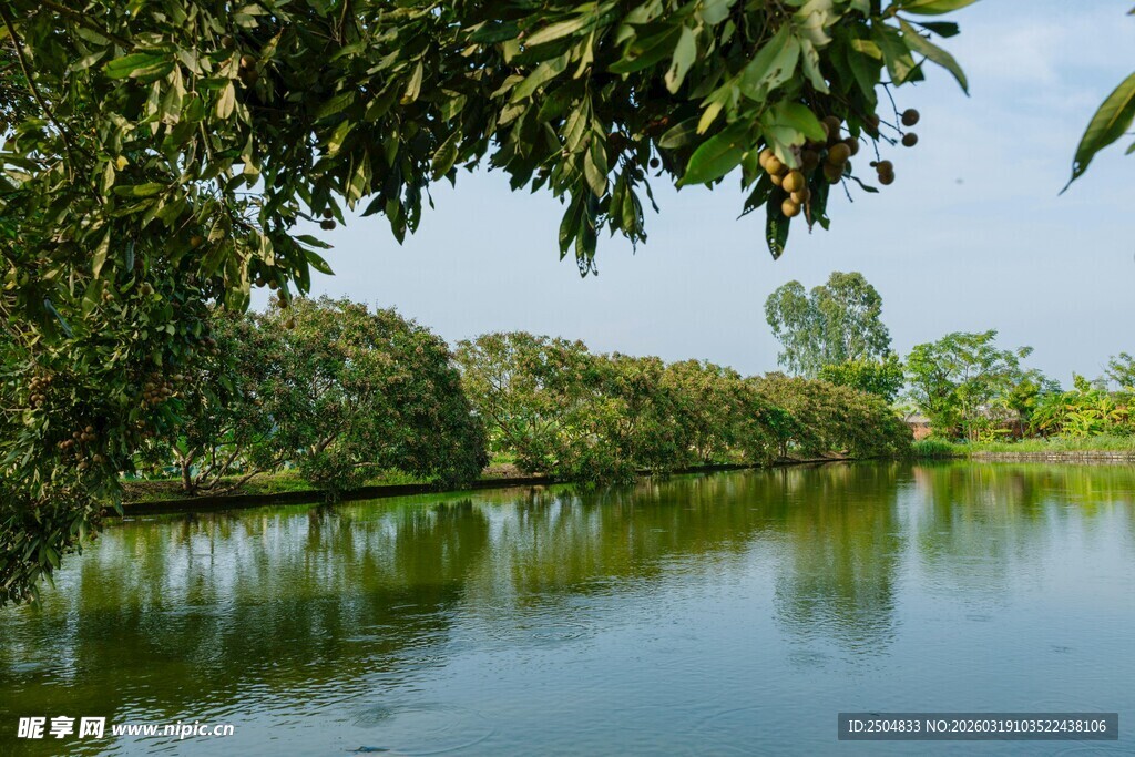 湖畔绿树环绕的静谧风光