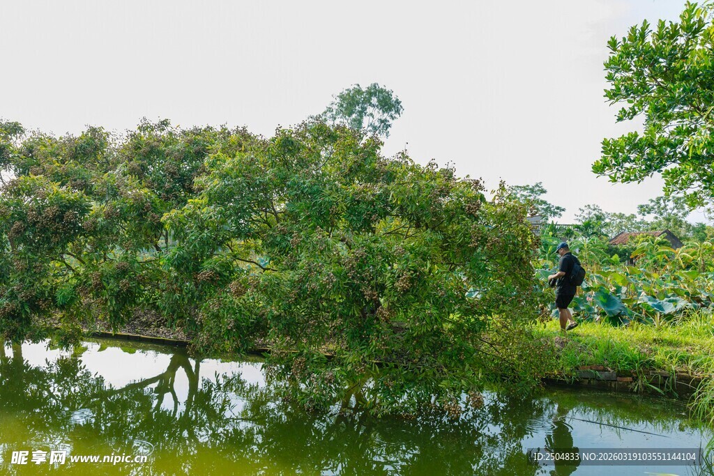 湖畔绿树旁的人物景致