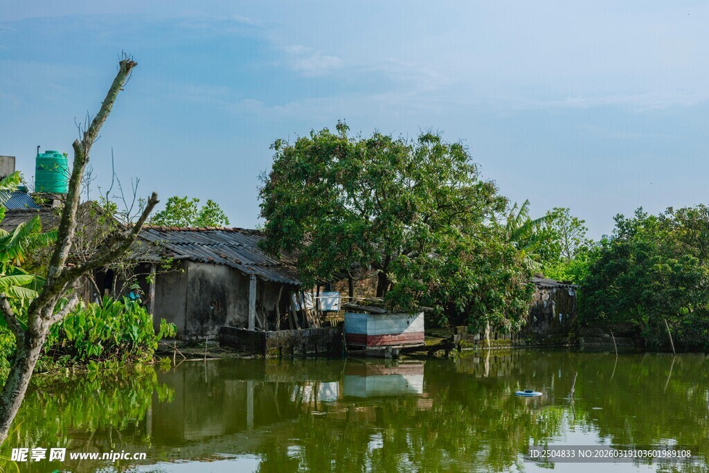 水乡田园风光 静谧村落