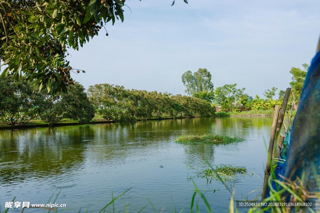 宁静河畔自然风景