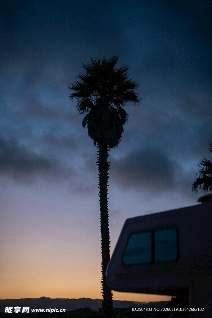 夕阳下的棕榈树与房车