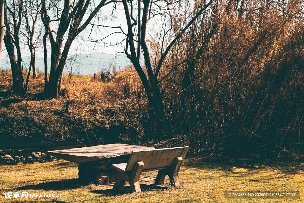 户外野地中的木桌长凳