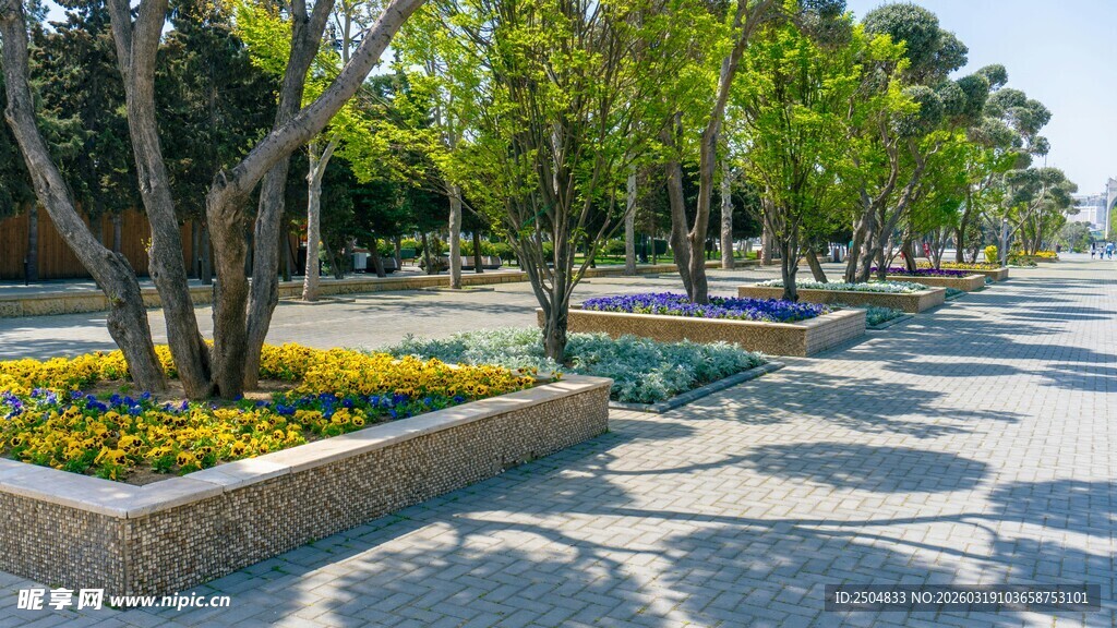 城市林荫步道景观