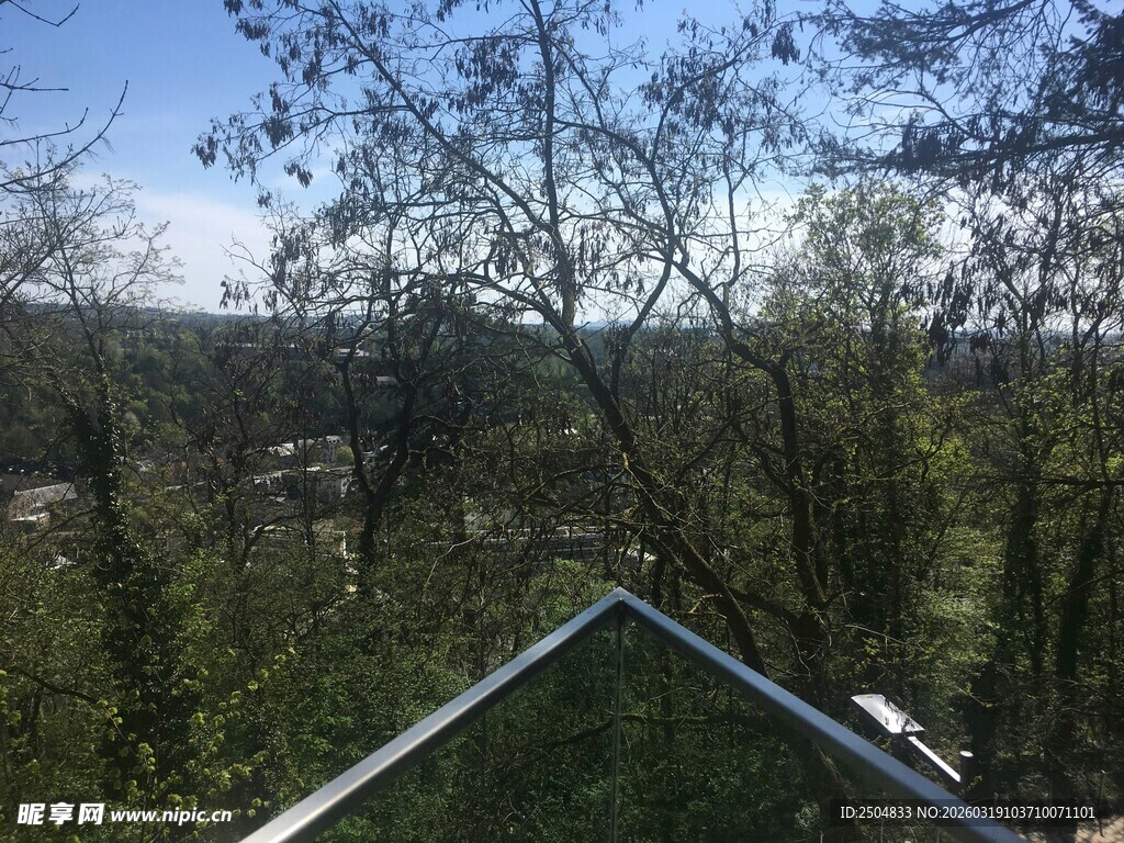 俯瞰绿树成荫的自然景致