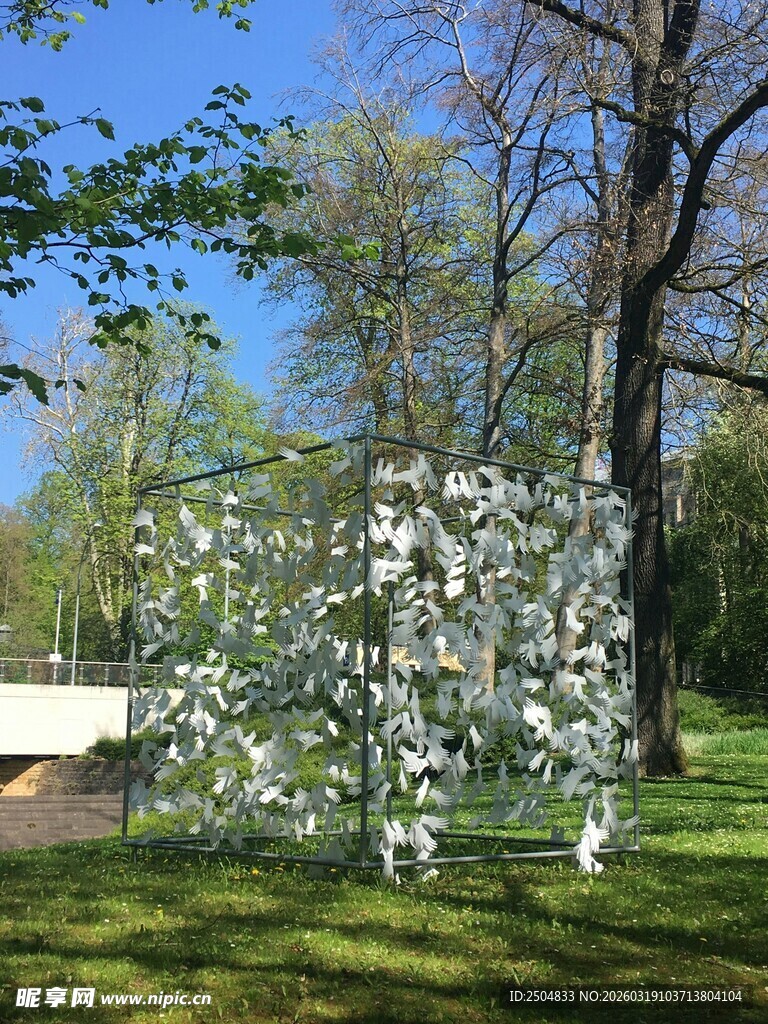 春日繁花盛开的林间景致