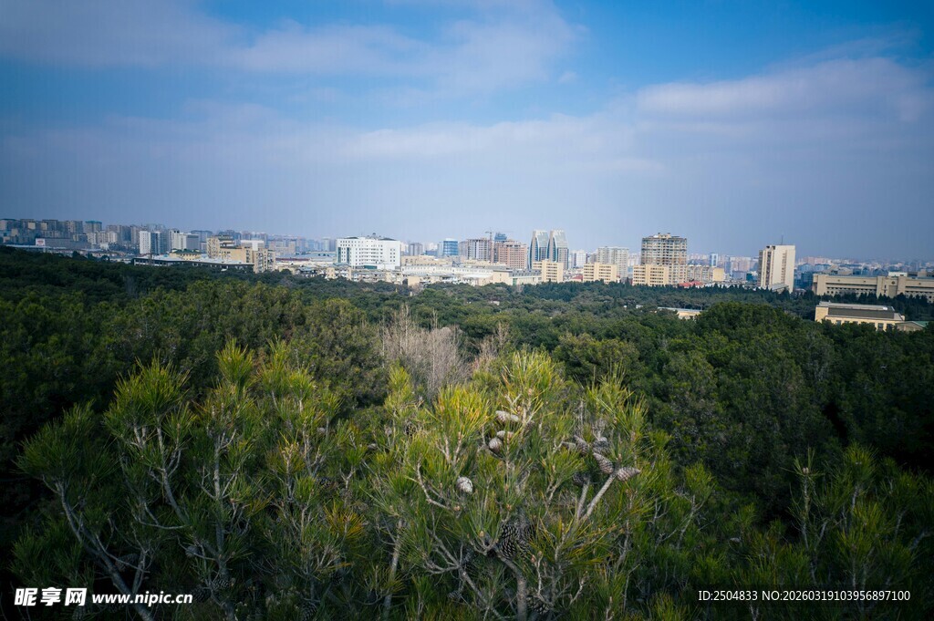城市与森林景观