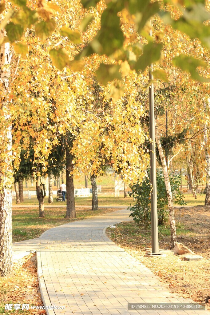 秋日林间漫步小道