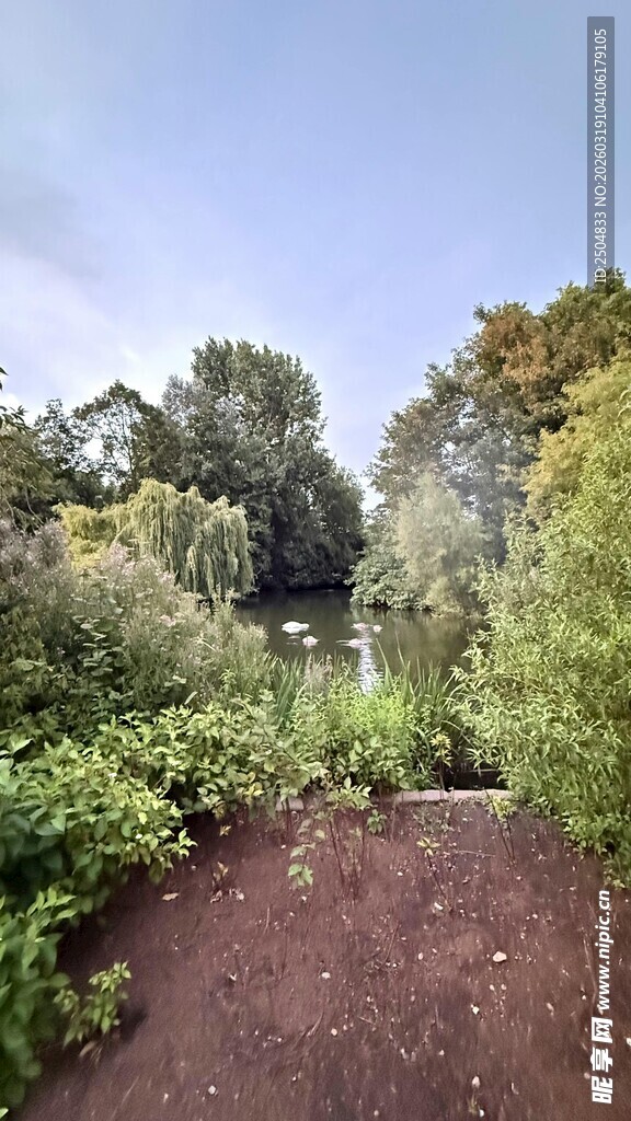 宁静花园小径景观