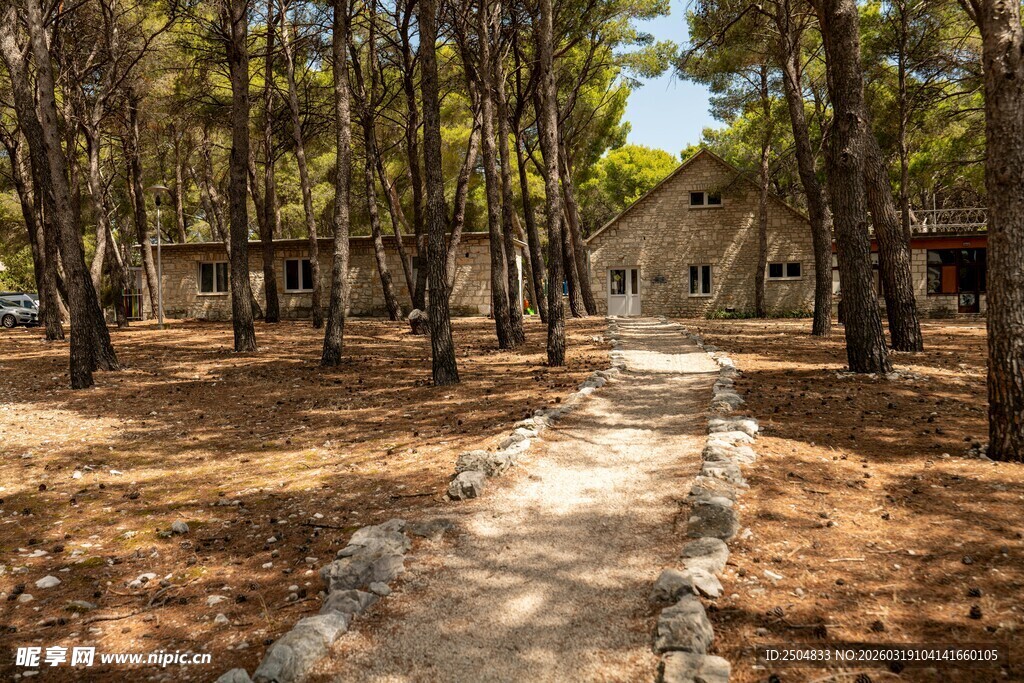 林间小径 静谧自然之景