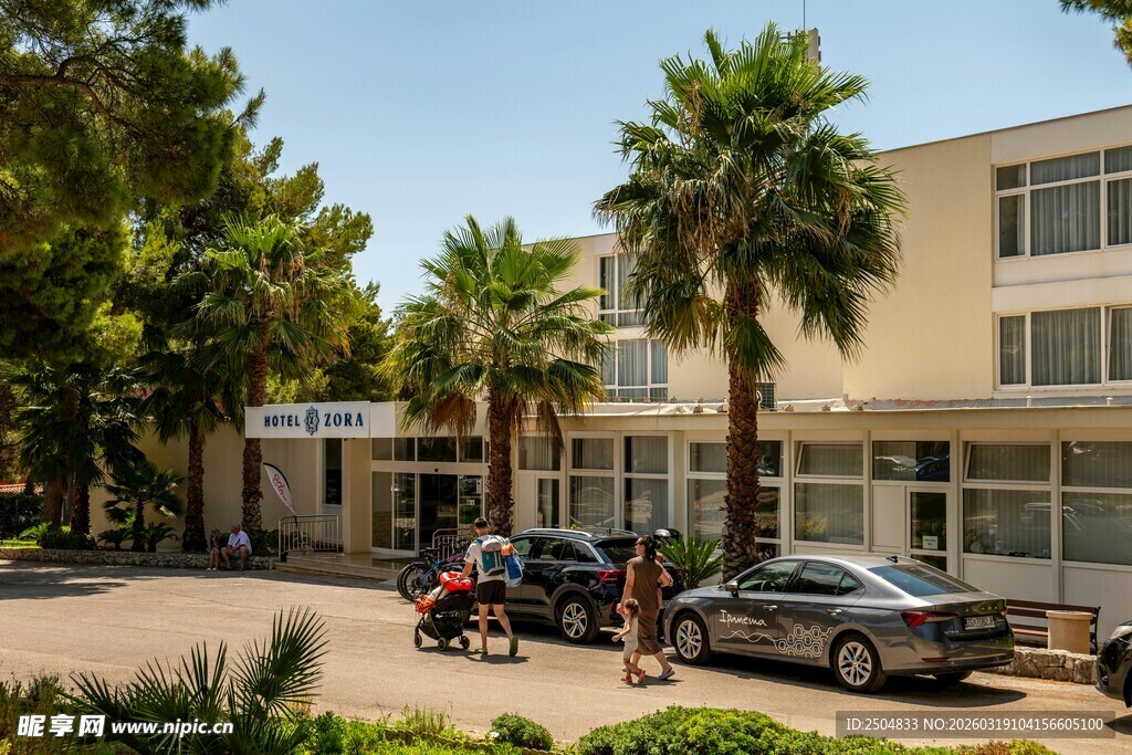 现代建筑旁的棕榈树与车辆