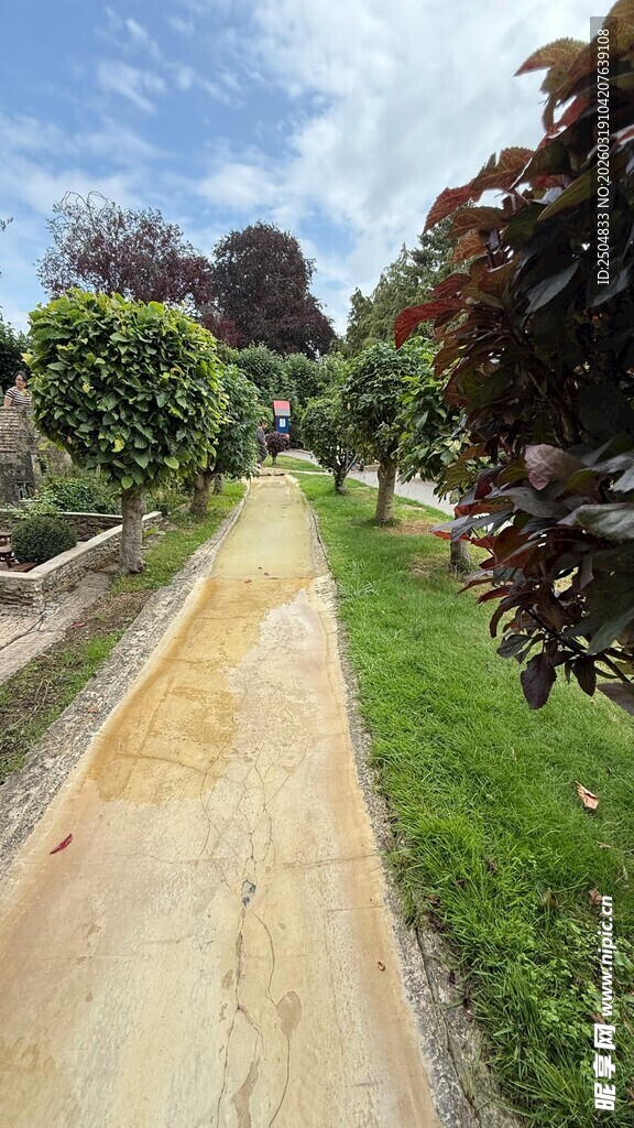 田园小径 绿意盎然的景致