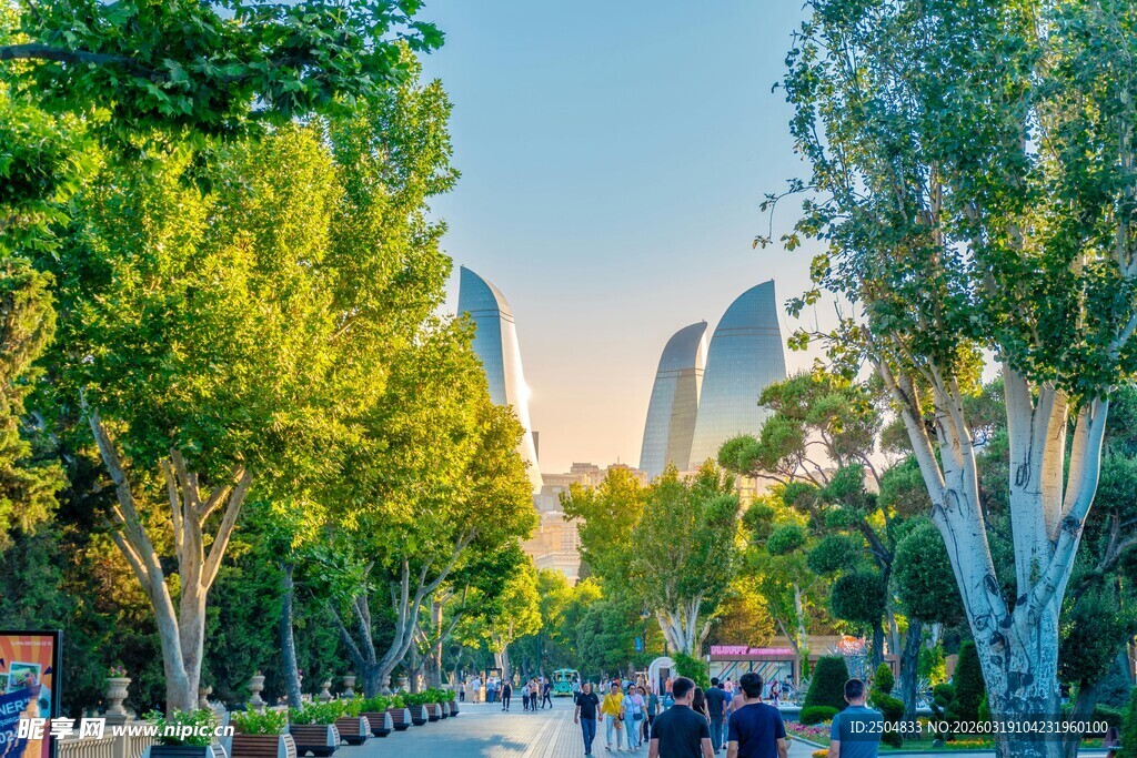 城市林荫道上的悠闲景象