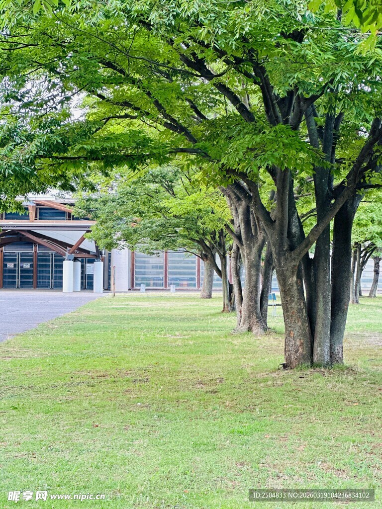 绿树成荫的清新户外场景